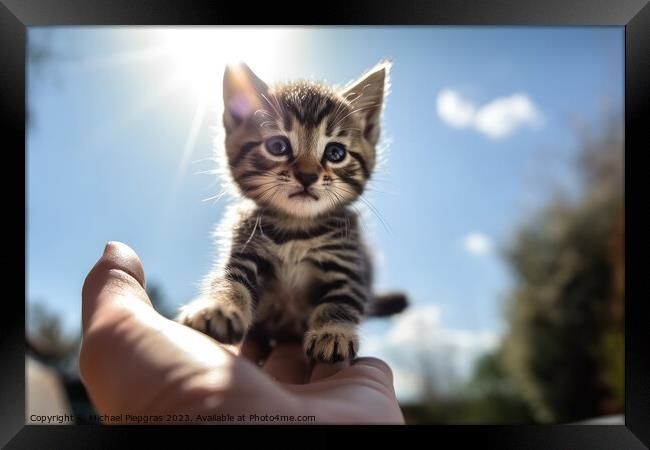 A human hand holds a small kitten in the air sunlight from the f Framed Print by Michael Piepgras