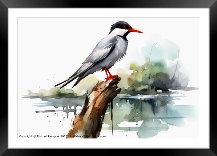 Watercolor painted common tern on a white background. Framed Mounted Print by Michael Piepgras