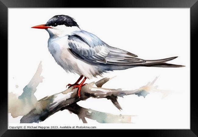 Watercolor painted common tern on a white background. Framed Print by Michael Piepgras