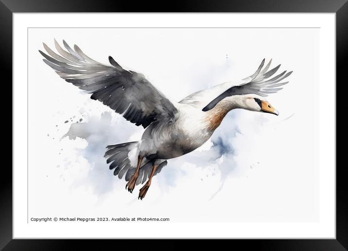 Watercolor painted grey goose on a white background. Framed Mounted Print by Michael Piepgras