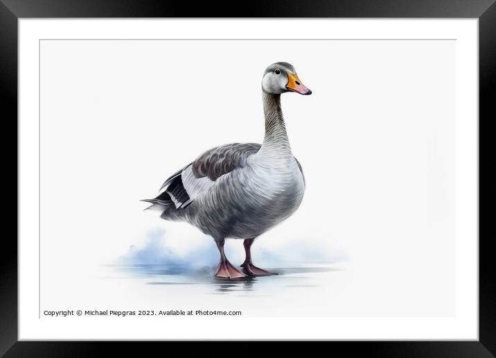 Watercolor painted grey goose on a white background. Framed Mounted Print by Michael Piepgras