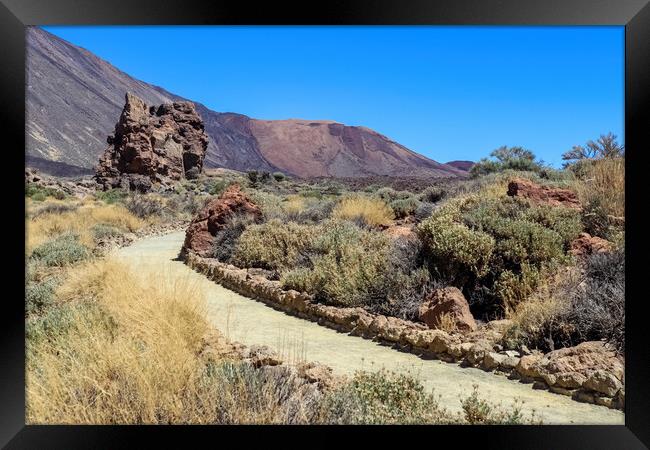 The Roques de Garcia rock formations on the Canary Island of Ten Framed Print by Michael Piepgras