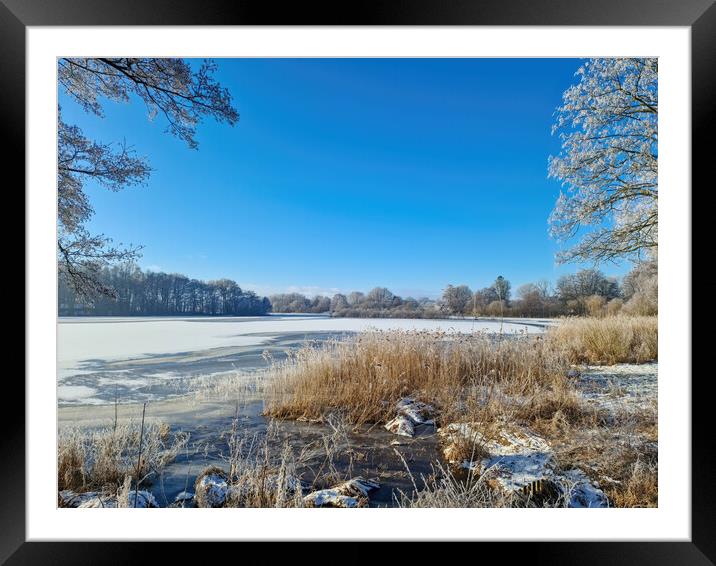 A snow covered frozen lake with icy reeds in the sunshine in the Framed Mounted Print by Michael Piepgras