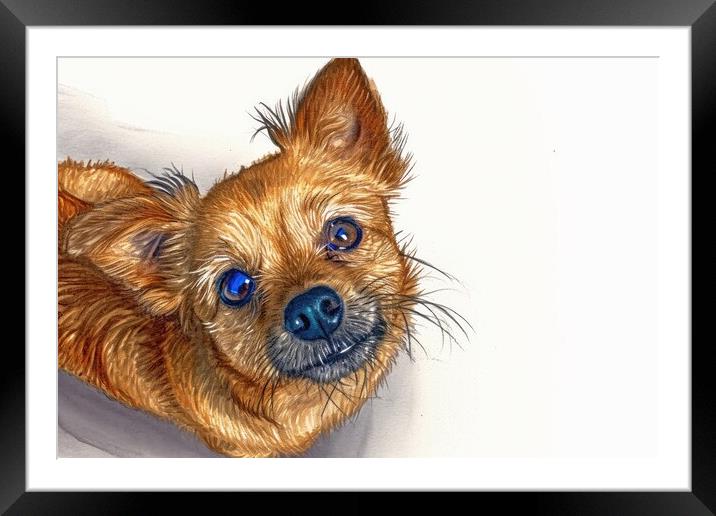 A beautiful watercolor painting of a cute dog. Framed Mounted Print by Michael Piepgras