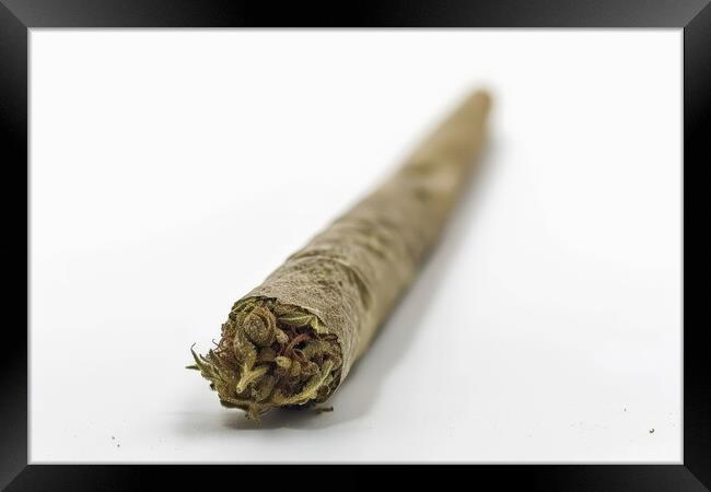 A medical cannabis joint on a white background. Framed Print by Michael Piepgras