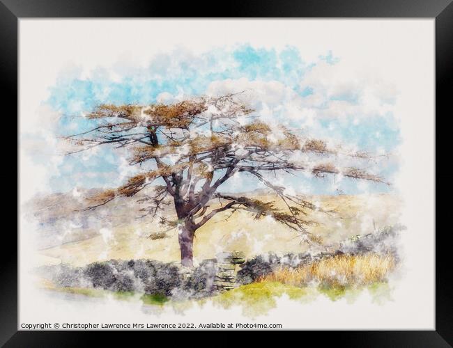 Lone tree in Lakeland fells Framed Print by Christopher Lawrence Mrs Lawrence