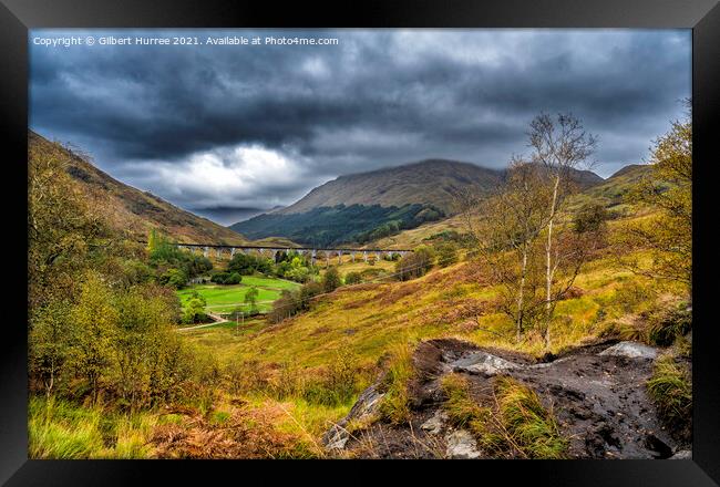 Scotland's Iconic Glenfinnan Viaduct Unveiled Framed Print by Gilbert Hurree