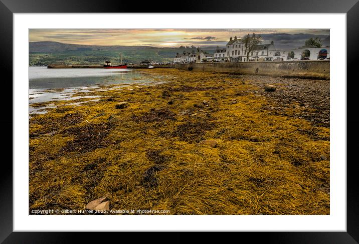Breath-taking Serenity of Low-Tide Loch Fyne Framed Mounted Print by Gilbert Hurree
