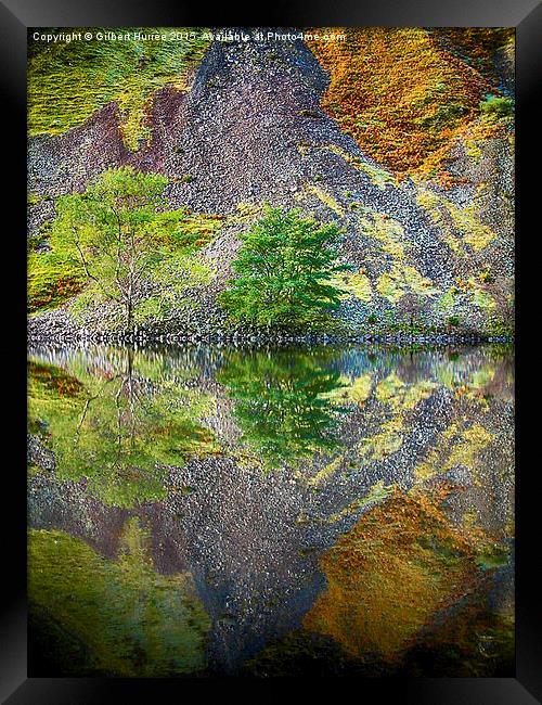  Trees reflected in the Scottish Loch Framed Print by Gilbert Hurree