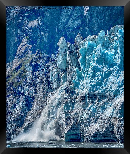  Margeric Glacier crumbling Framed Print by Gilbert Hurree