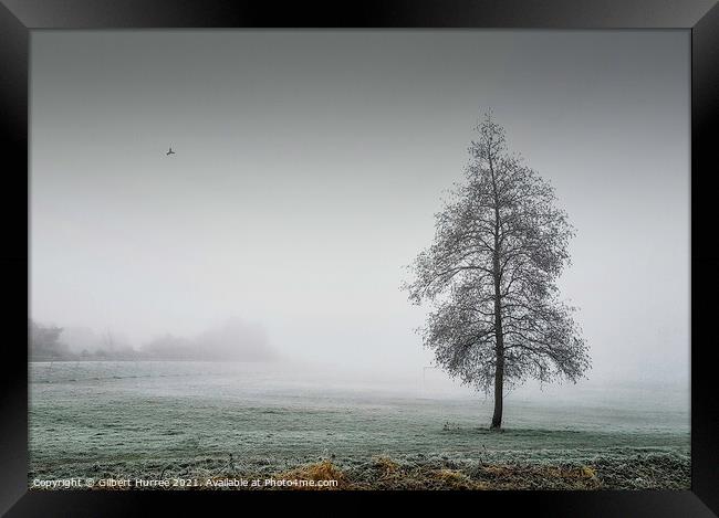 Enchanted Winter Morning Framed Print by Gilbert Hurree