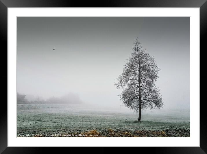 Enchanted Winter Morning Framed Mounted Print by Gilbert Hurree