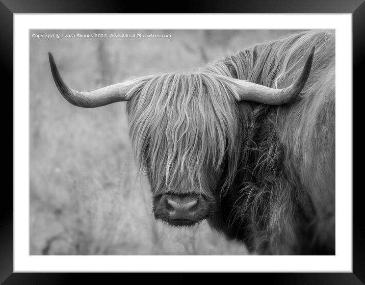 Highland Cow Framed Mounted Print by Laura Simons