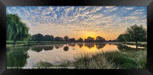 Sunrise ft Cirrocumulus Clouds Framed Print by walkswithmango 