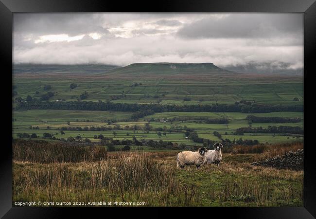 View over Wensleydale to Addlebrough Framed Print by Chris Gurton