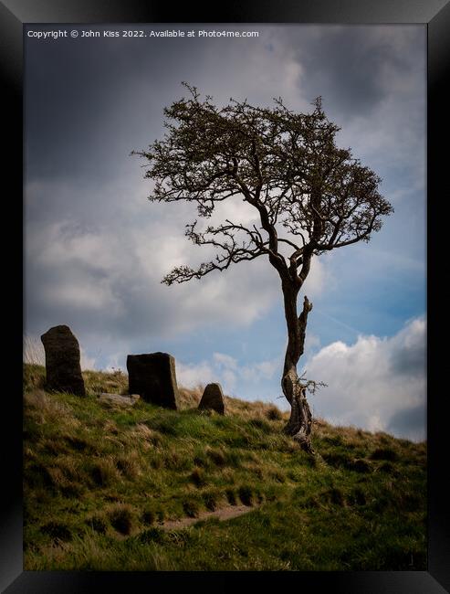 Grim Lone Tree Framed Print by John Kiss