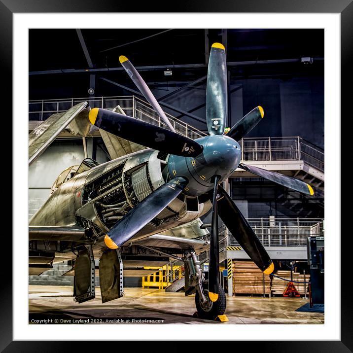 Westland Wyvern Propellor Framed Mounted Print by Dave Layland
