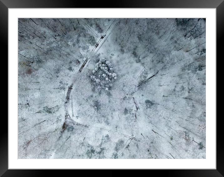 Winter Woodland Framed Mounted Print by Apollo Aerial Photography