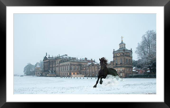 A Winter Gallop Framed Mounted Print by Apollo Aerial Photography