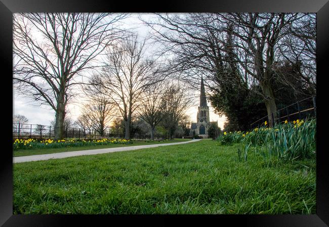 Wentworth Church Daffodils Framed Print by Apollo Aerial Photography