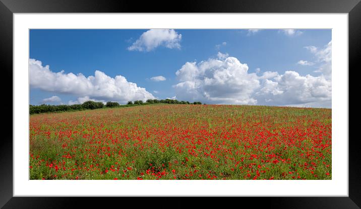 Poppy Field Landscape Framed Mounted Print by Apollo Aerial Photography