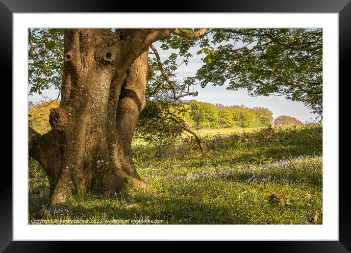 Tree Trunk in a Bluebell Field Framed Mounted Print by Kirsty Barber
