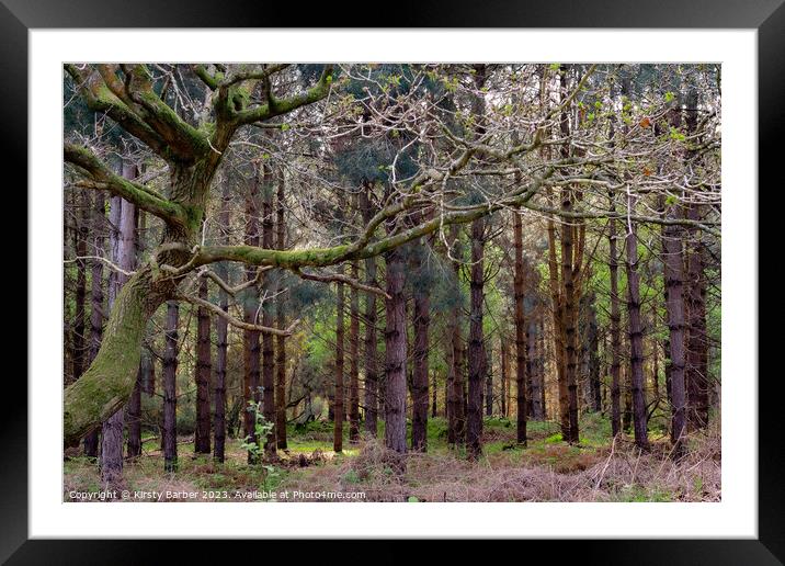 Tress in Dunwich Forest  Framed Mounted Print by Kirsty Barber