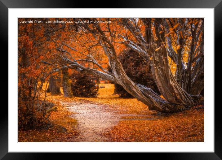 Autumn Path Framed Mounted Print by John-paul Phillippe