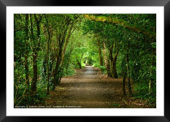 the trail Framed Mounted Print by malcolm james