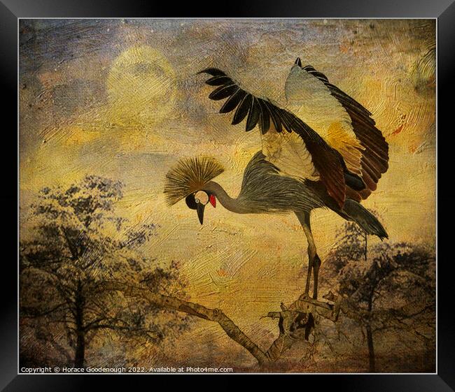 Taking Flight Framed Print by Horace Goodenough