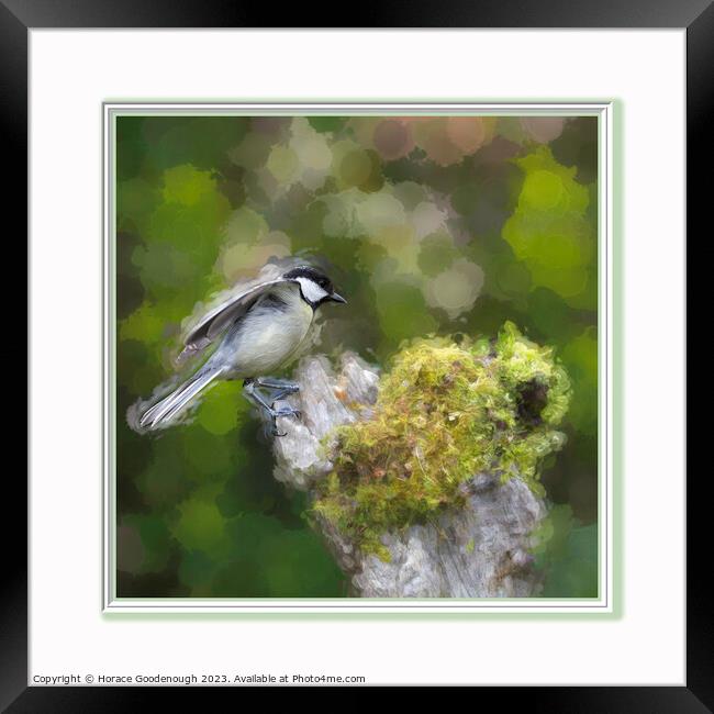 Just landed Framed Print by Horace Goodenough