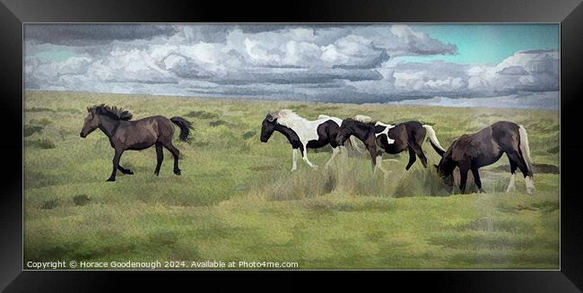 Wild horses on Dartmoor  Framed Print by Horace Goodenough