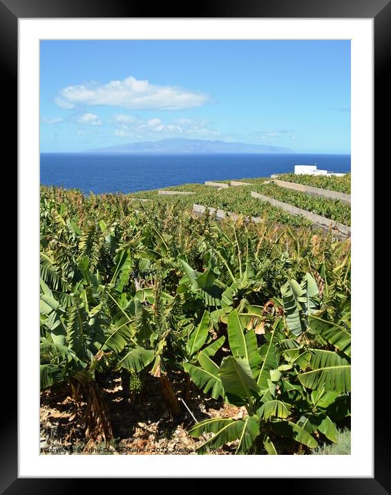 Banana plantation on the west coast of Tenerife Framed Mounted Print by Anne-Claude Maurice