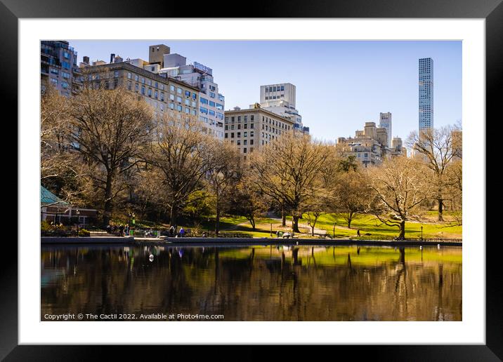 Spring in Central Park New York Framed Mounted Print by The Cactii