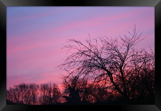 Sky Blue Pink Framed Print by sam mitchell