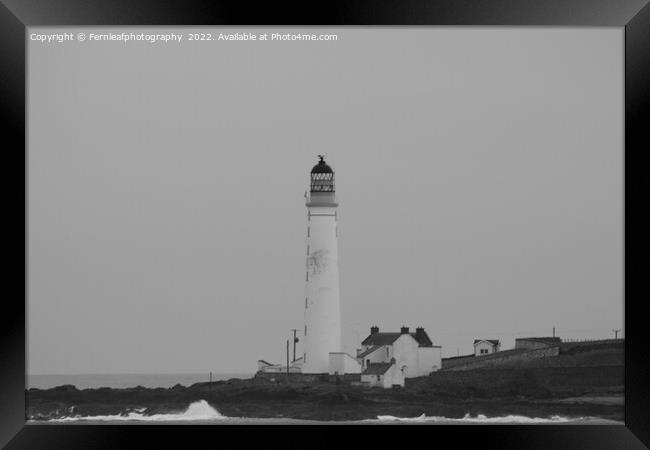 Black and white lighthouse Framed Print by Fernleafphotography 