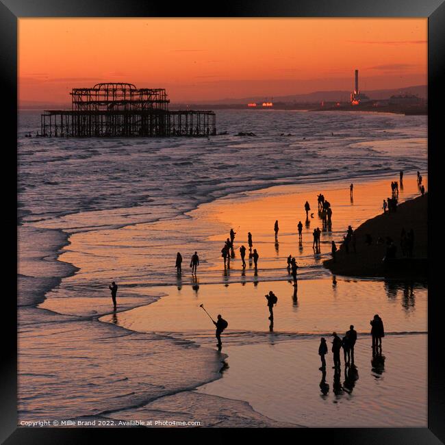 Brighton beach at sunset Framed Print by Millie Brand