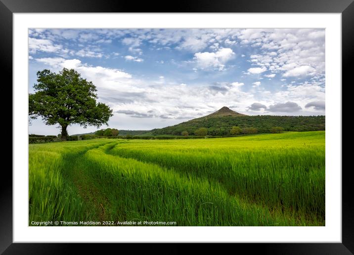 Outdoor field Framed Mounted Print by Thomas Maddison