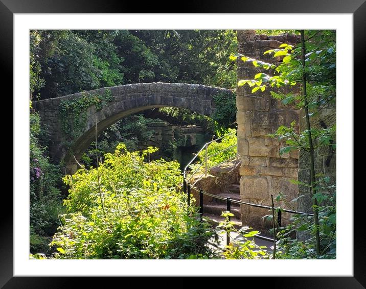 Bridge Framed Mounted Print by Richard Fairbairn