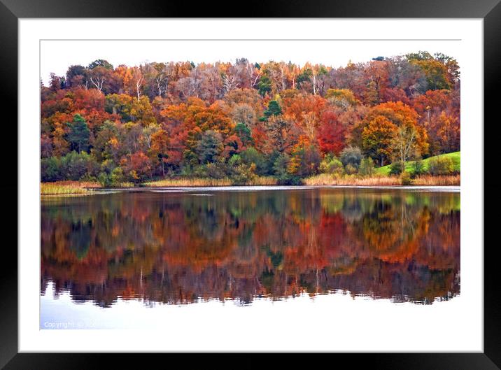 Autumn Reflections Framed Mounted Print by Robin Clarke