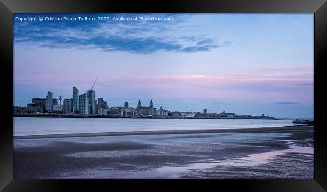 Liverpool waterfront from Egremont at dusk Framed Print by Cristina Pascu-Tulbure