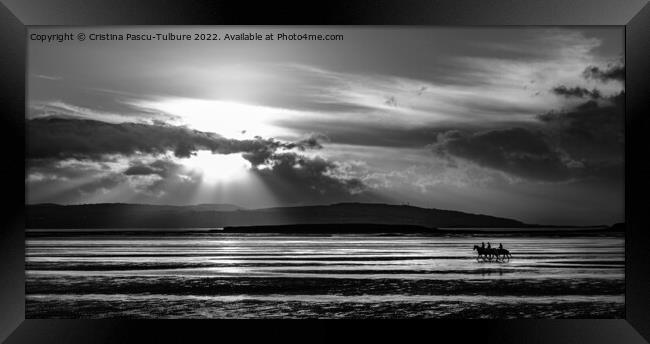Hoylake beach riders at sunset Framed Print by Cristina Pascu-Tulbure