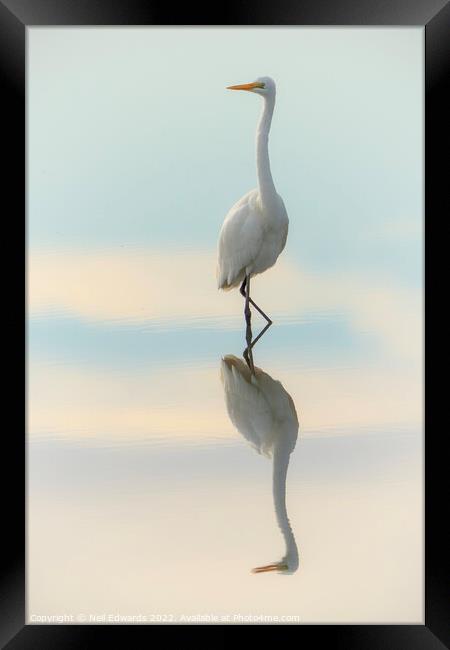 Elegant Egret Framed Print by Neil Edwards