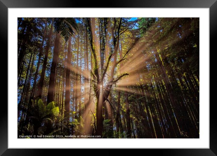 Spectacular sun rays the Otway Ranges Framed Mounted Print by Neil Edwards
