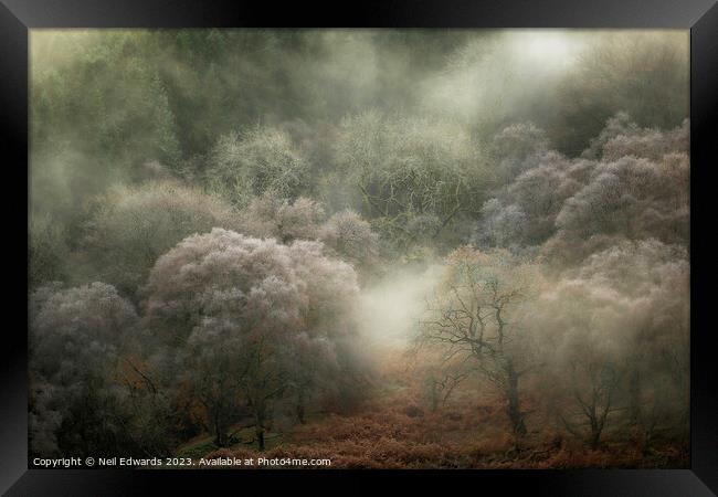 Autumn Fog Framed Print by Neil Edwards