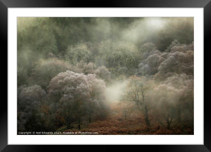 Autumn Fog Framed Mounted Print by Neil Edwards