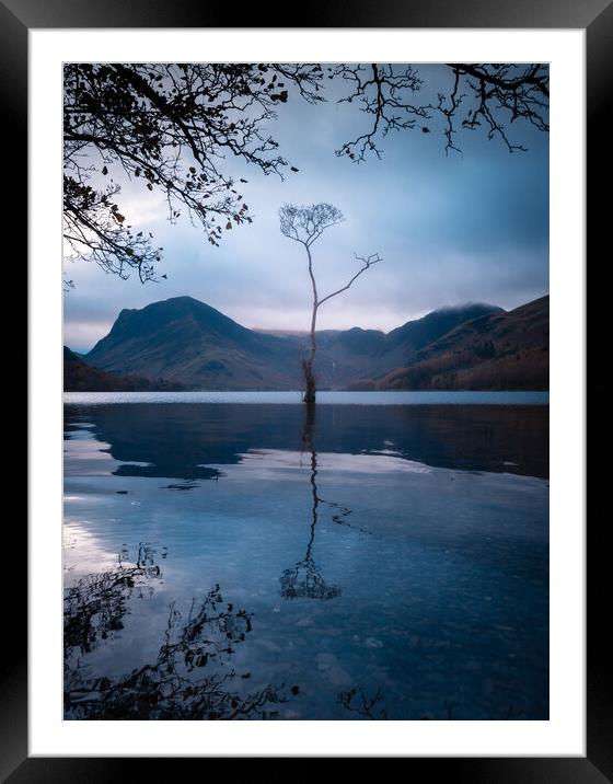Buttermere Lake with the Lone Tree Framed Mounted Print by Alan Wise