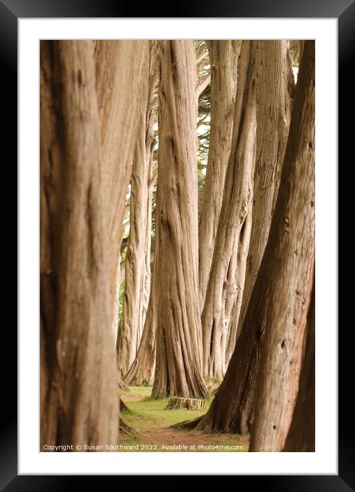 Tree line Framed Mounted Print by Susan Southward