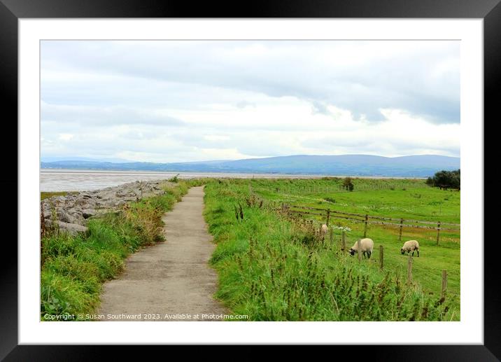 Lancashire Coastal Life Framed Mounted Print by Susan Southward