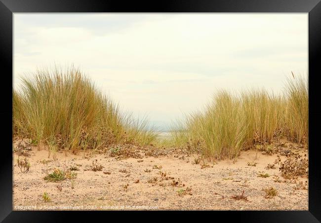 The Dunes Framed Print by Susan Southward